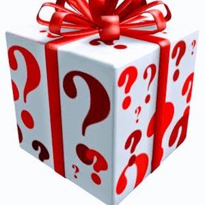 MPL Seattle Boutique Mystery Box Size Small NWT